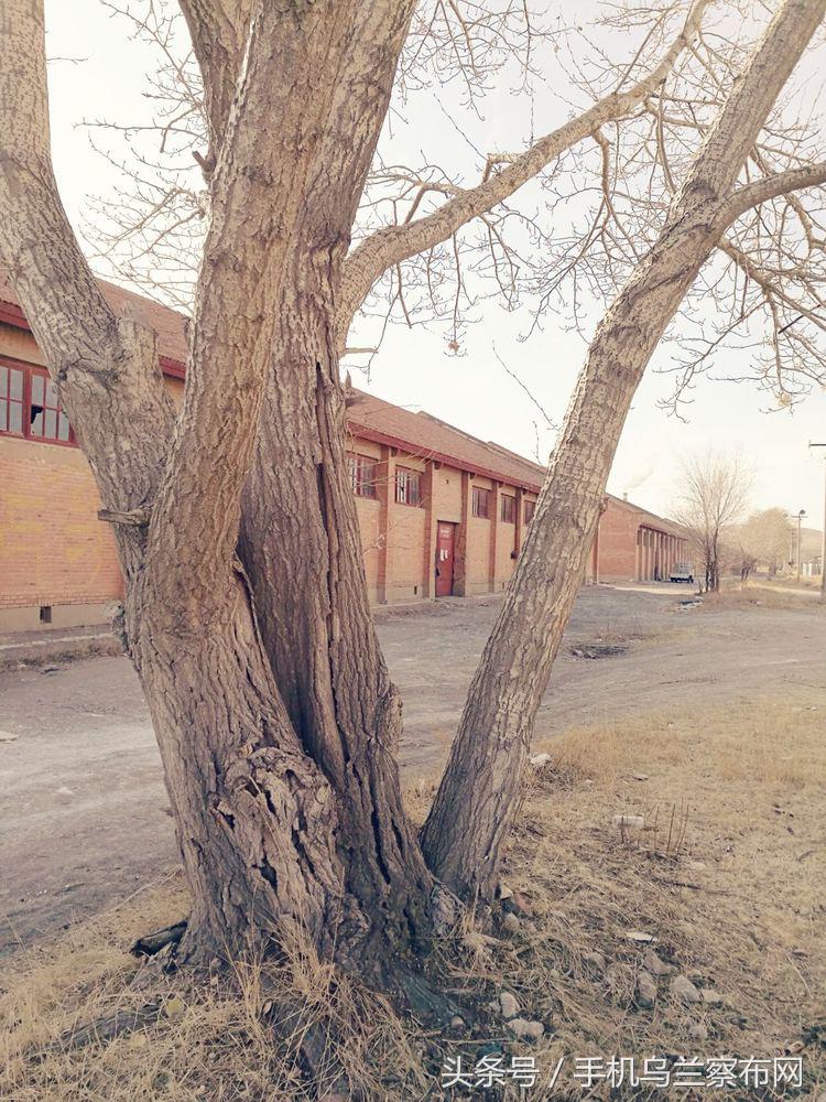 70年代的集宁,老集宁记忆