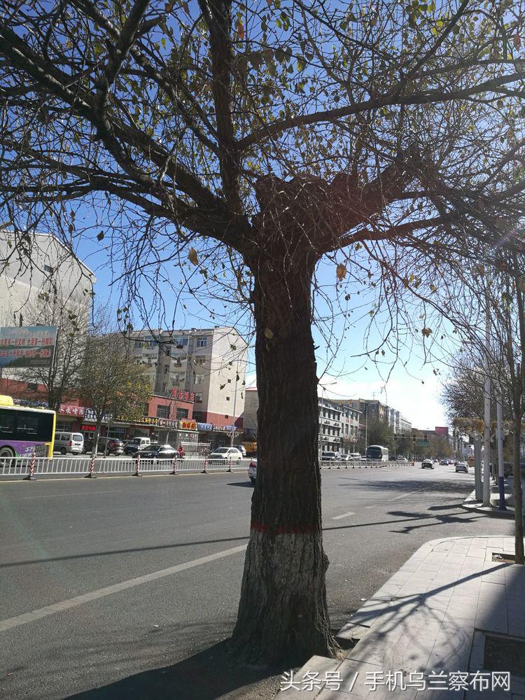 70年代的集宁,老集宁记忆