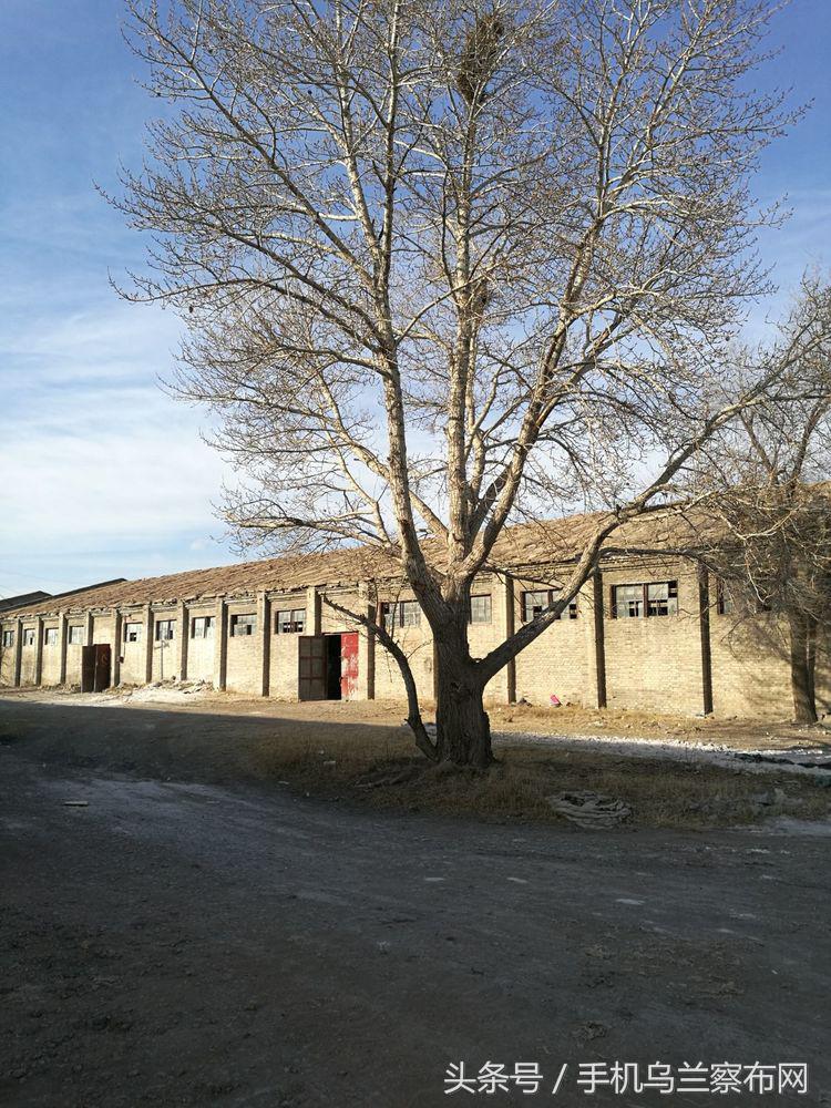 70年代的集宁,老集宁记忆