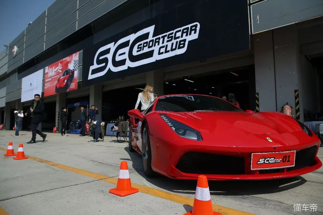 我和春天有个约会,我和春天有个约会阅读