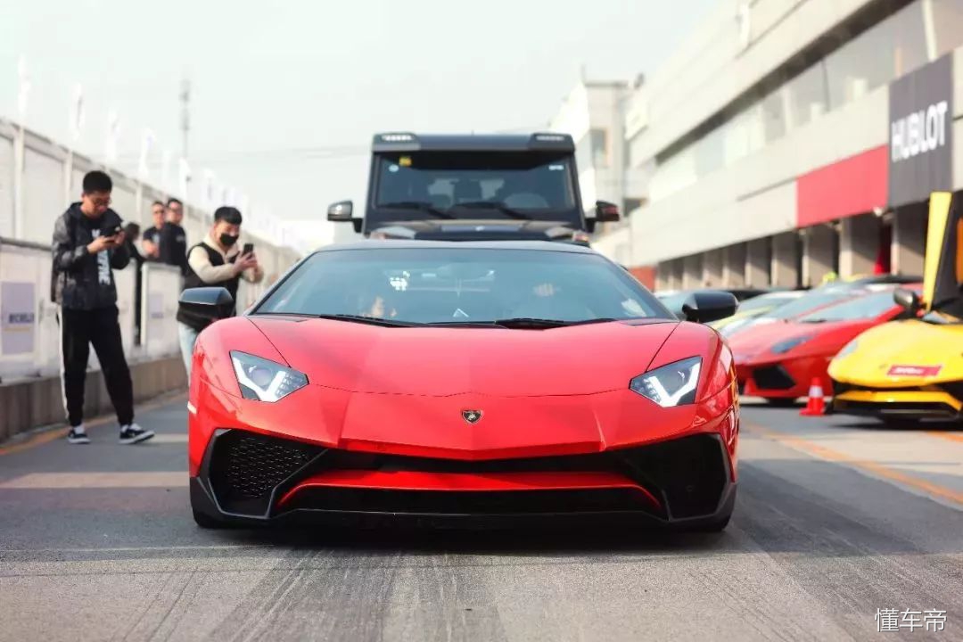 我和春天有个约会,我和春天有个约会阅读