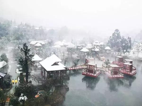 三年评先进,湖北表扬的10个县