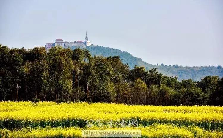 中国三年一评,三年评先进