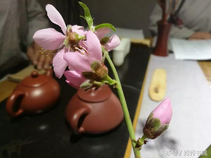 茶道养生课：《黄帝内经灵枢根结第五》