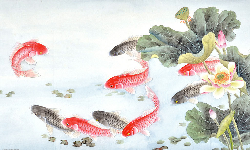 锦鲤鳃充血是什么病该怎样治疗,锦鲤充血什么原因