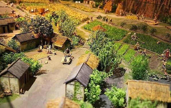 农产品众筹种植怎么做,特色农产品众筹策略