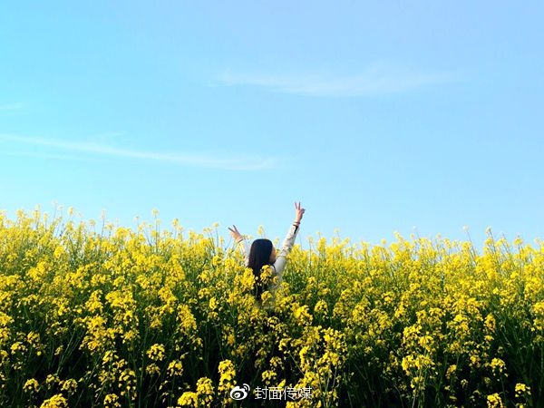 「封面文化·教师文苑」春归遐想