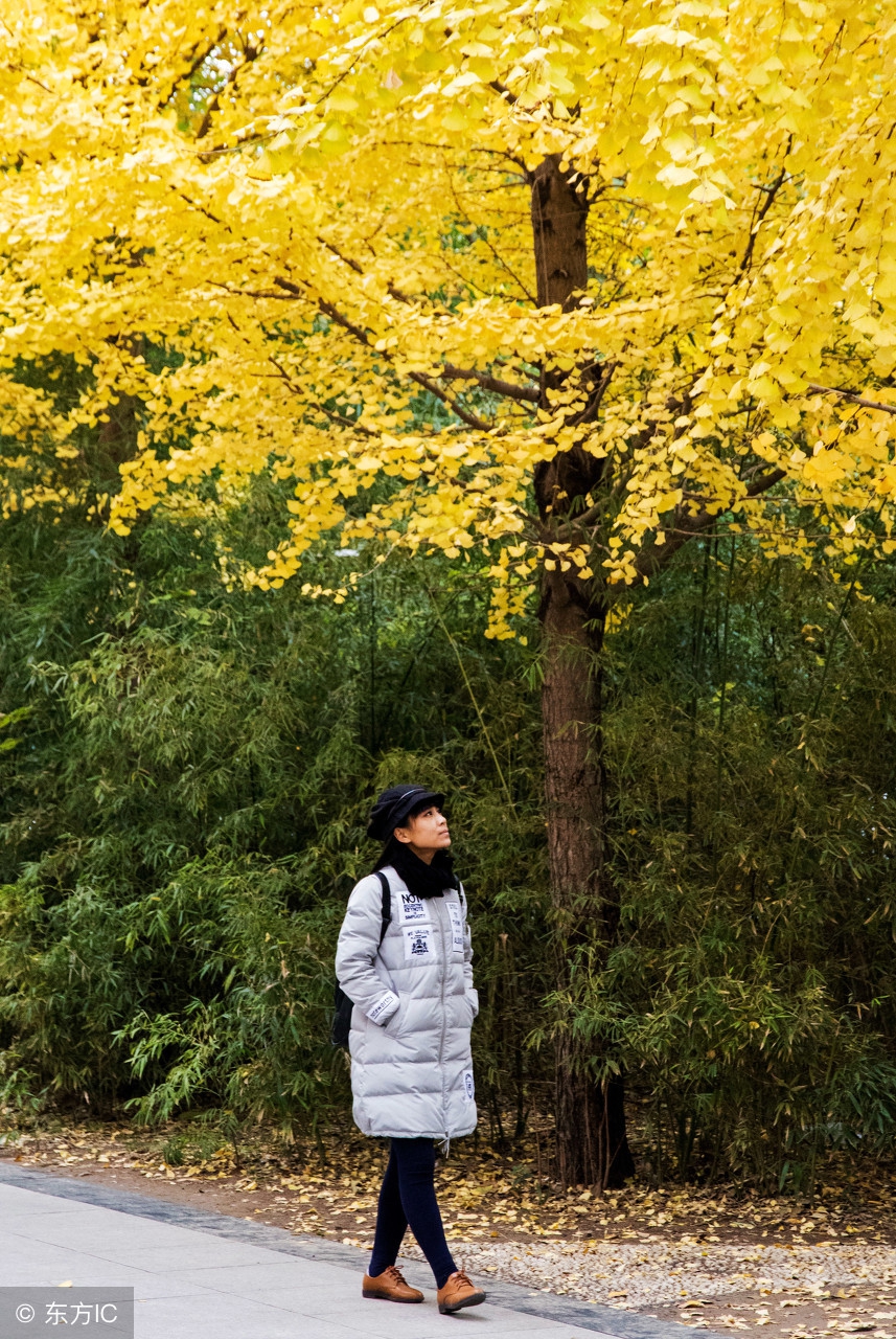 岁月静好浅笑安然免费,岁月静好浅笑安然