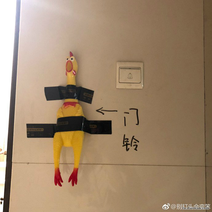 直击火爆全网的国字脸猴子,越看越像猴子一样的人