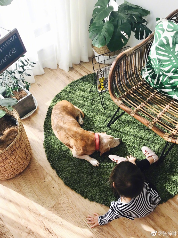 萌娃拍照怎么拍出高级感,拍摄萌娃技巧有哪些