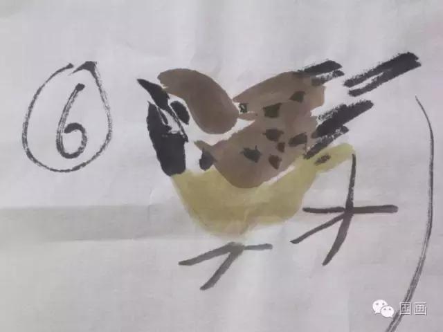 国画鸟的画法初学者,鸟的眼睛画法国画