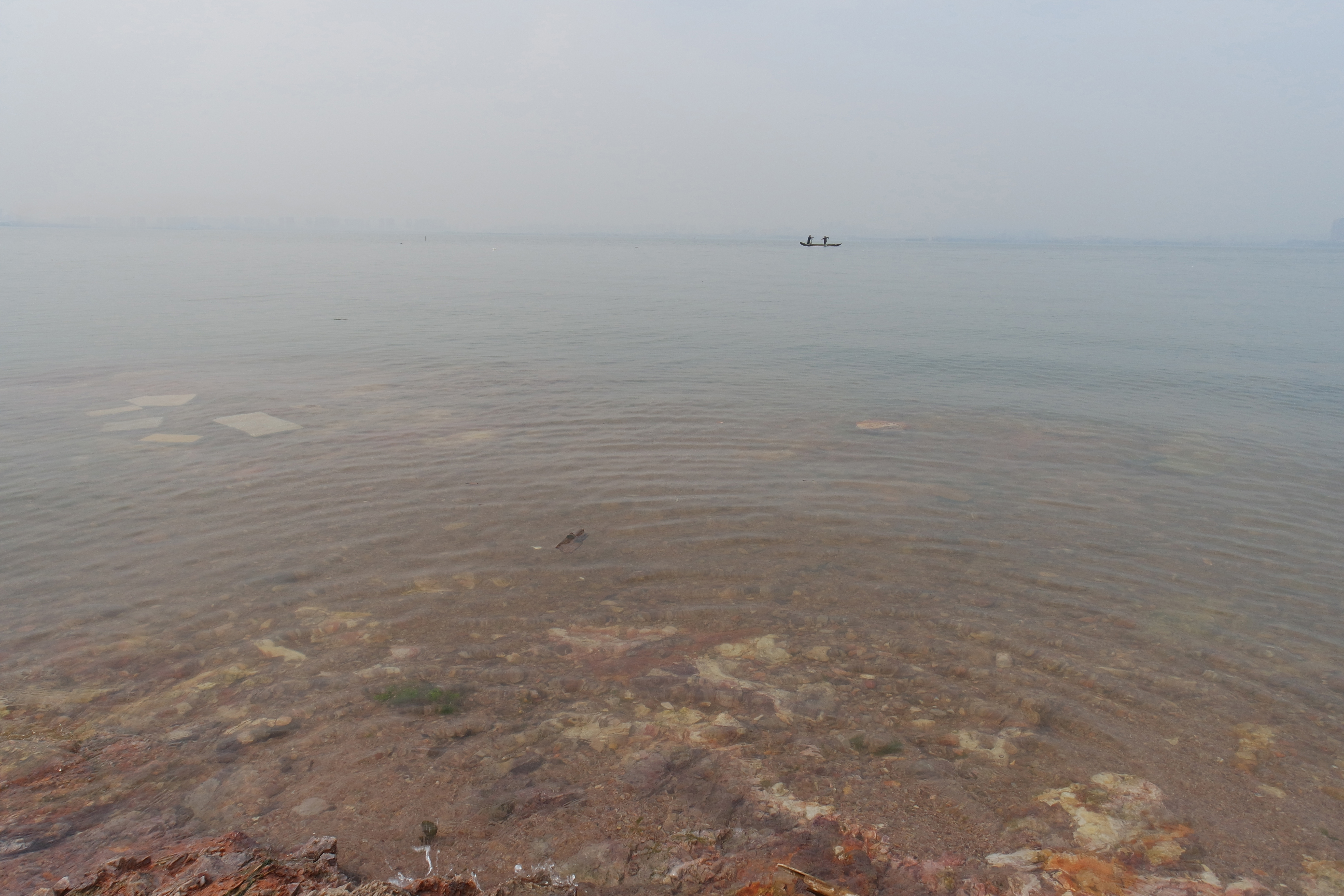 武昌理工学院的樱花,武昌理工学院回忆