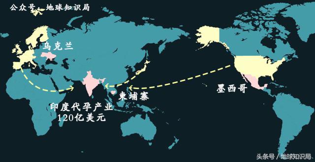 为什么有这么多女大学生热衷于做这件事？地球知识局