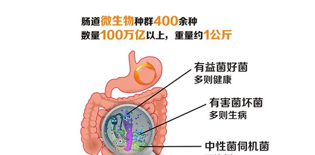 妇科不好脸上会长痘痘怎么办,10岁女孩长痘痘中医该怎么调理