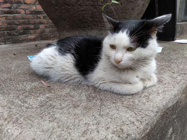 联想s5pro深度测评,联想s5好不好