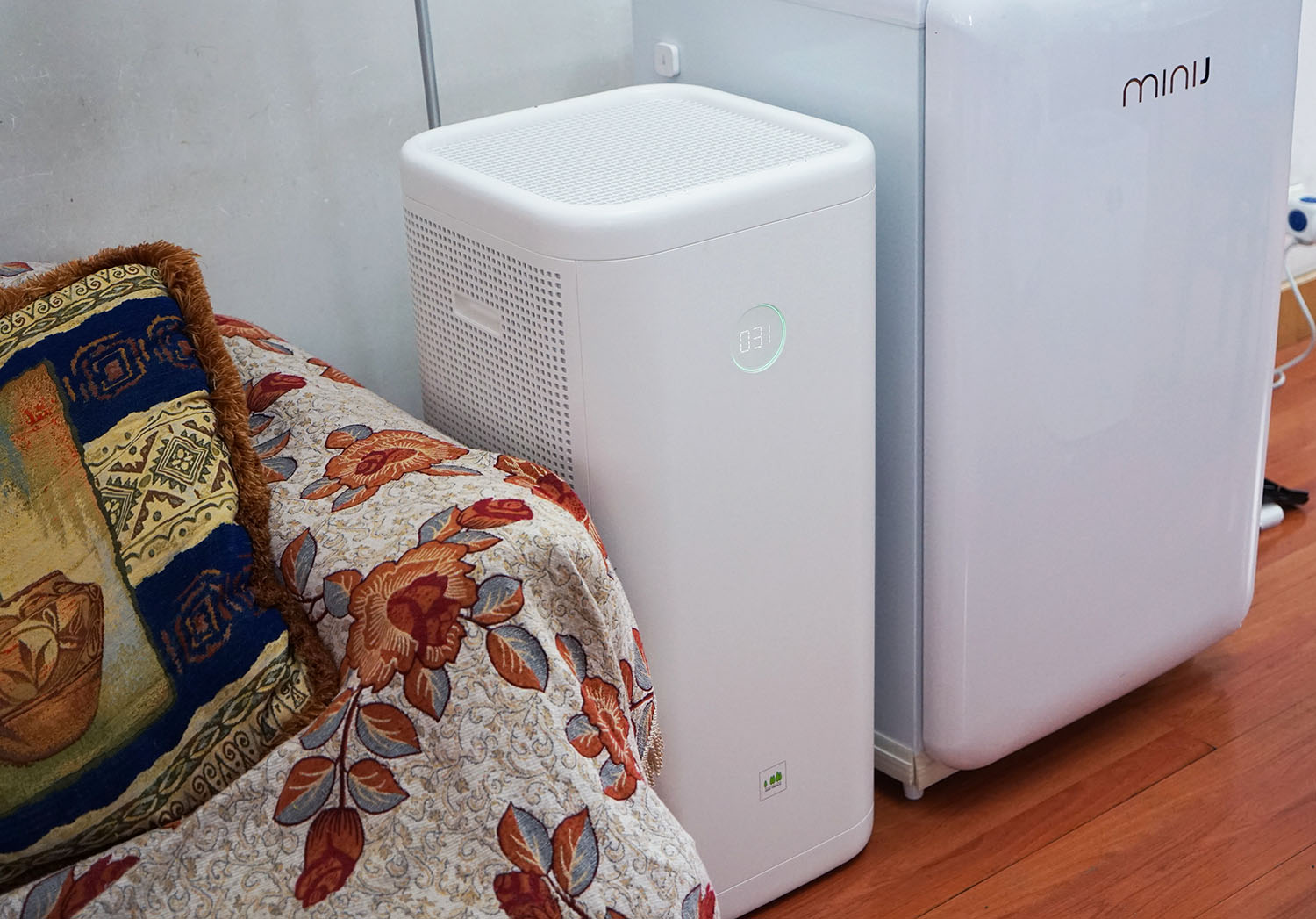 空气净化器除宠物屎味吗,空气净化器能去除宠物异味吗