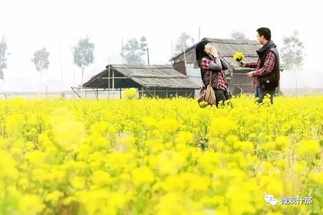 三月什邡旅游景点,三月的成都美景