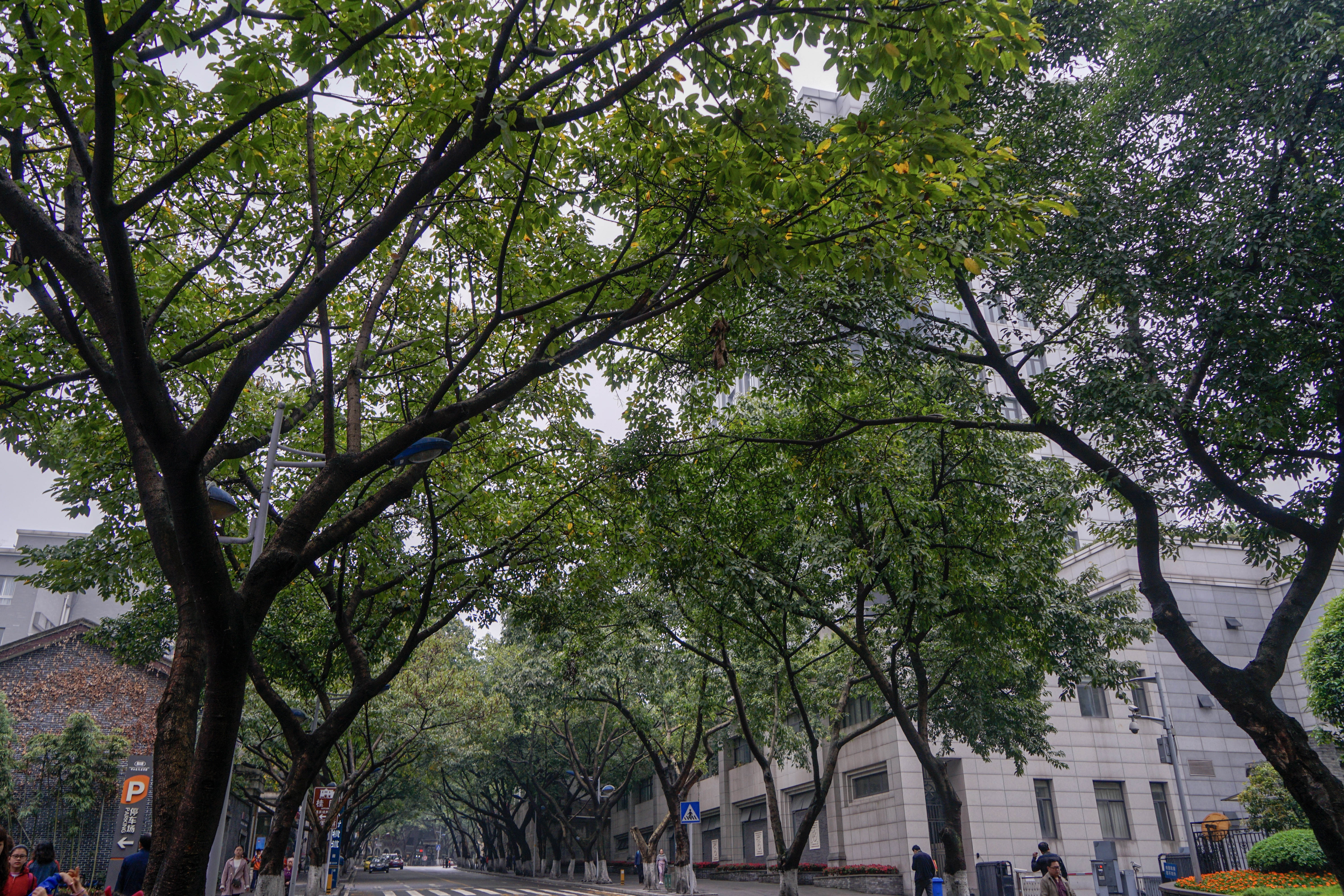 重庆3d看景区,重庆看3d电影最好的地方