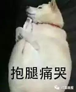 你的代购也许是个假“白富美”，人生如戏，全靠演技……