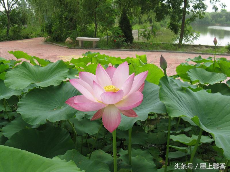 怡人的风景美景,湖南怡人园林