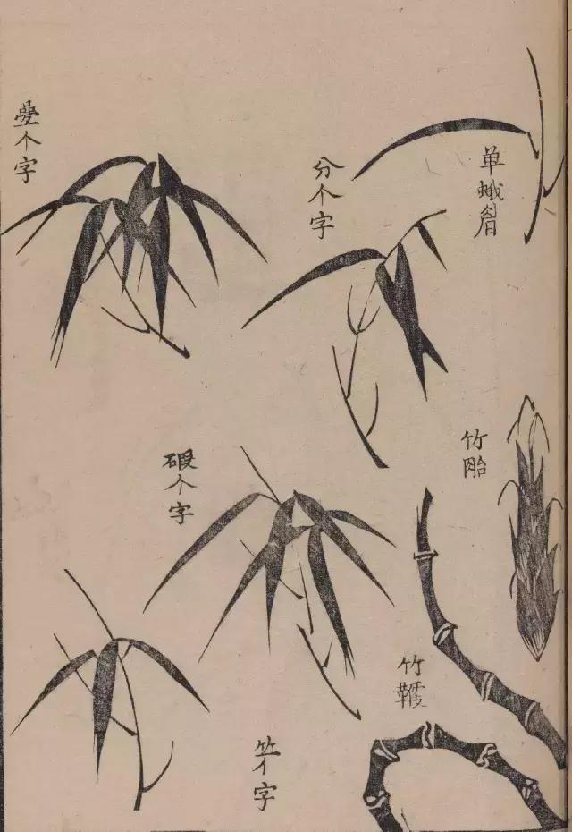芥子园竹谱高清临摹,芥子园画谱原文