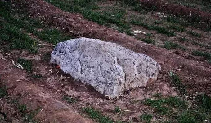 职称论文专著审核标准,专著造假受什么处分