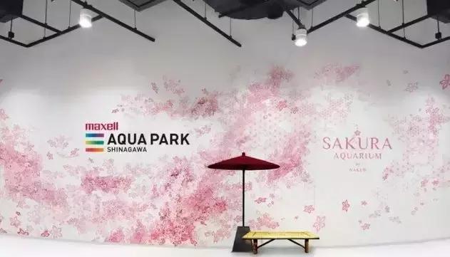 最美樱花限定来袭,少女心爆棚100%...