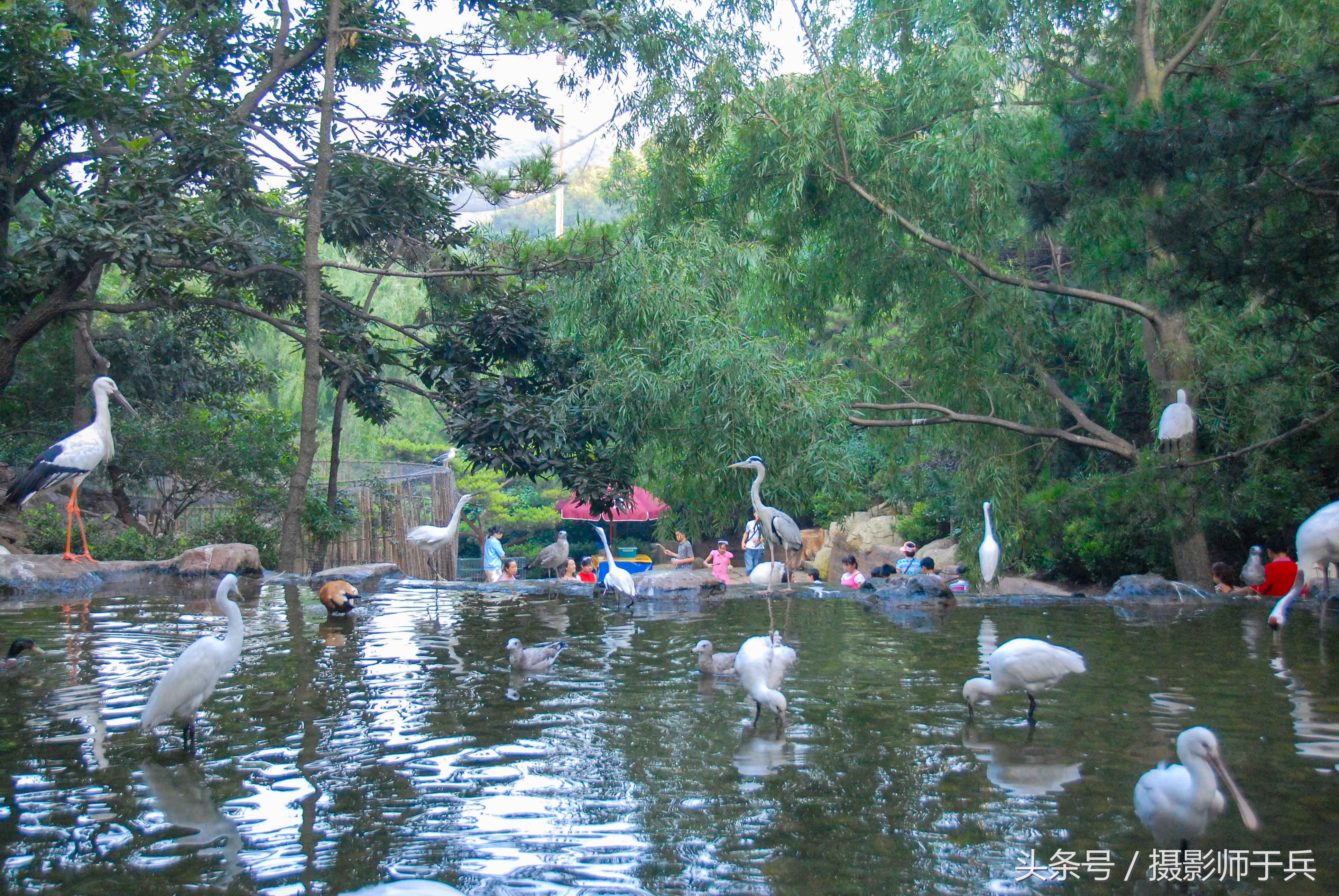 大连海洋主题公园在哪里,大连最著名的老虎滩海洋公园