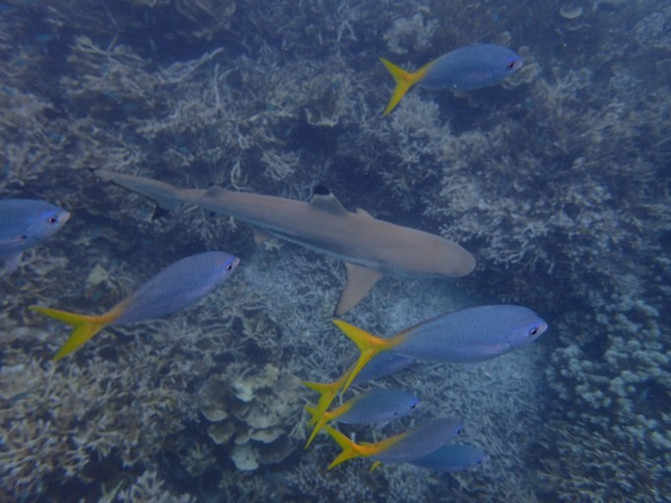 闺蜜一起游东湖公园,跟闺蜜一起去观光大海