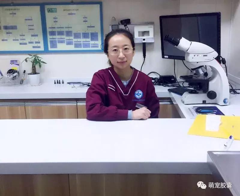 【V-story】做一名宠物医师是种怎样的体验?(上)