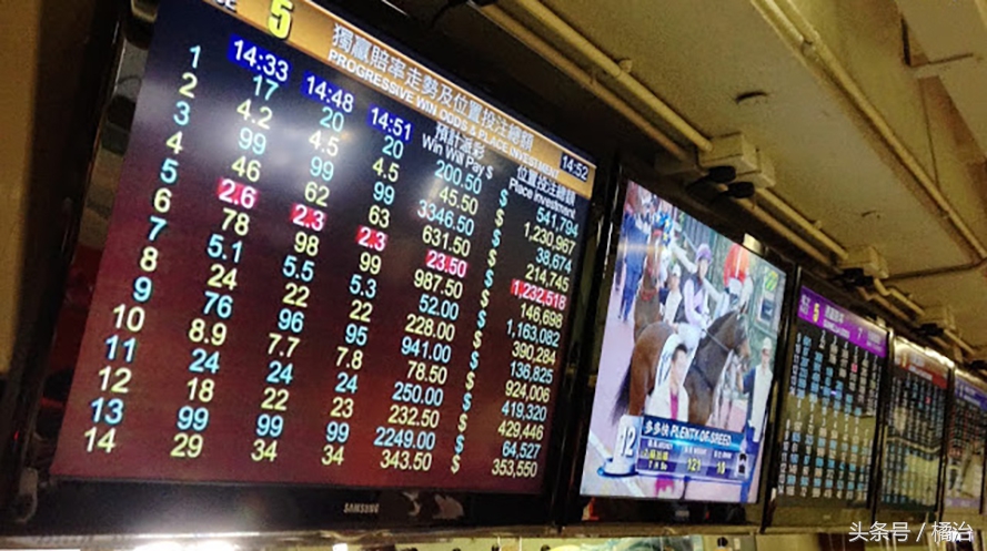 去香港赛马场，买张马票看马儿热血冲刺，超酷！（内含详细攻略）