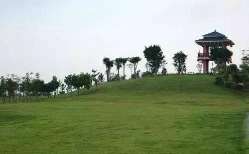 深圳仙湖植物园清明踏青赏花,深圳2022清明能去旅游吗