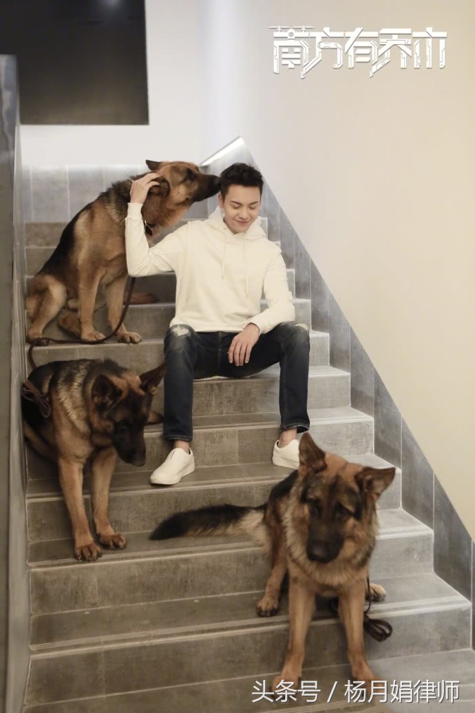 南方有乔木陈伟霆演技进步获好评,南方有乔木陈伟霆翘二郎腿