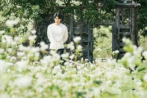 如果一定要不负*光春**不负花，选这2个地方就够了