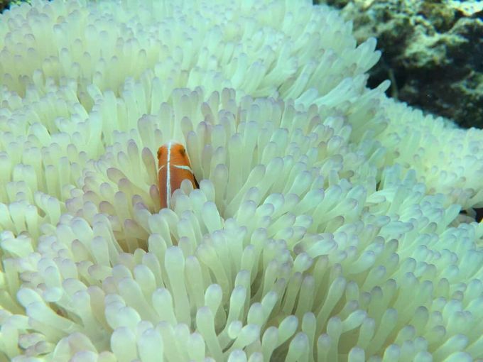 宝贝喜欢小金鱼,宝贝喜欢玩水