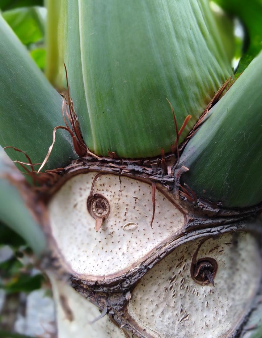 899元就可以购买这么酷炫的神器荣耀畅玩7C全面屏和人脸解锁