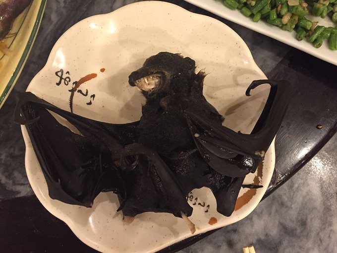 穷游住宿美食,帕劳住宿饮食