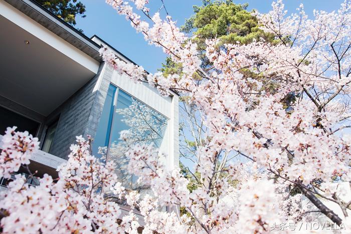 避开了人山人海的景点,避开人山人海去看星辰大海