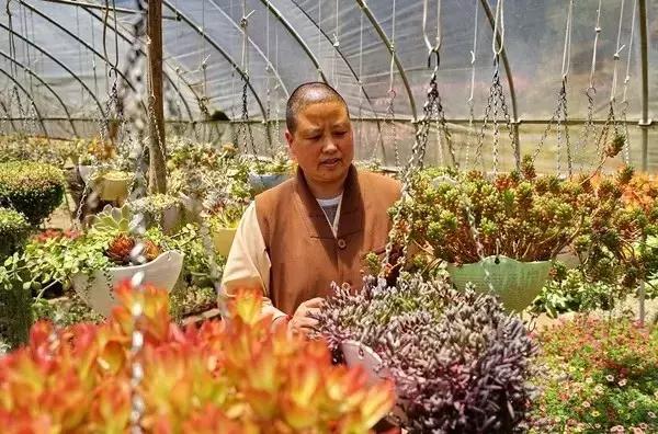 春来花自青秋至叶飘零原文解释,春来花自青秋至叶飘零出自哪里