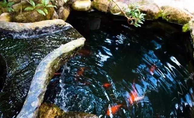 春来花自青秋至叶飘零原文解释,春来花自青秋至叶飘零出自哪里