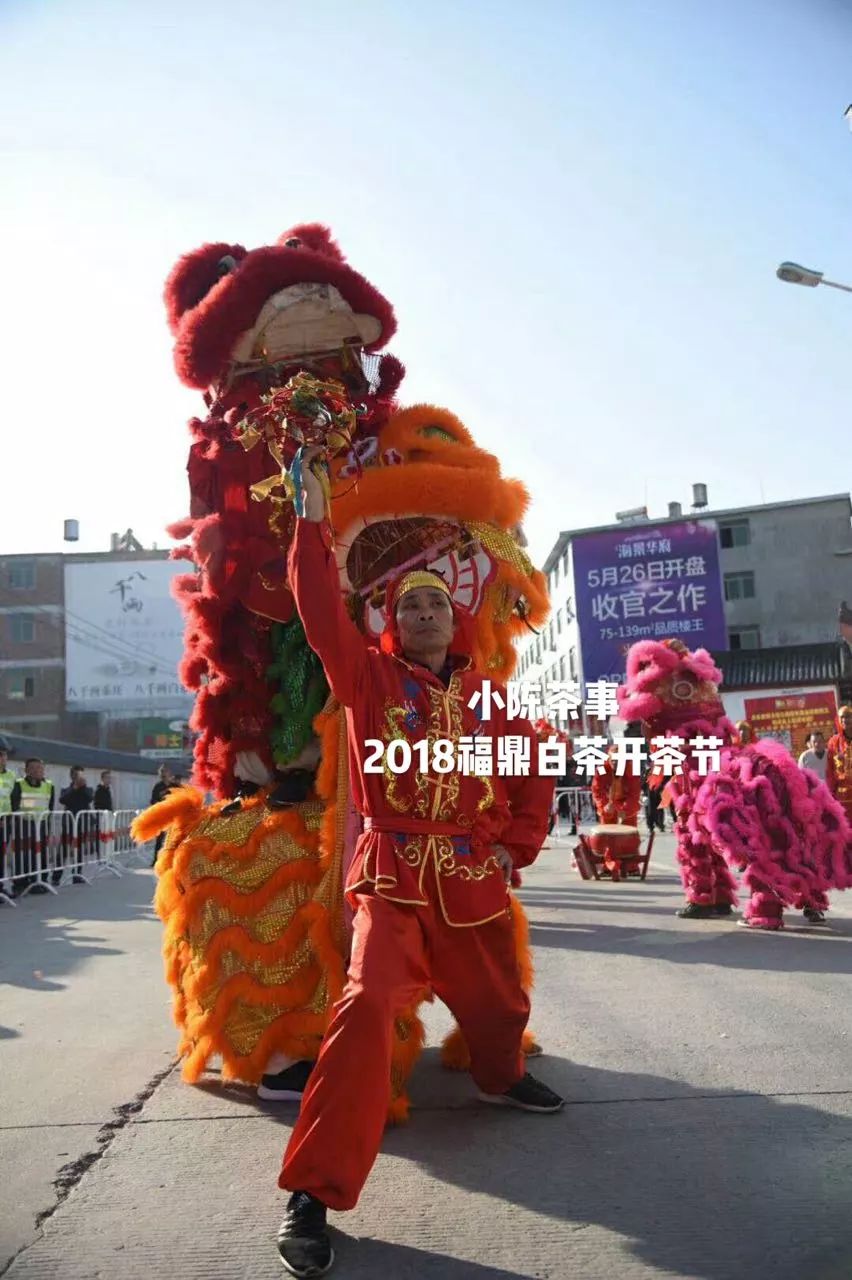 傍大师，认品牌，这些不懂茶的白茶掌柜有点“飘”了！