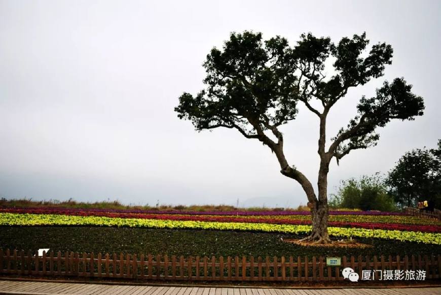 长泰古山重村适合什么时候去,厦门周边游景点推荐适合亲子