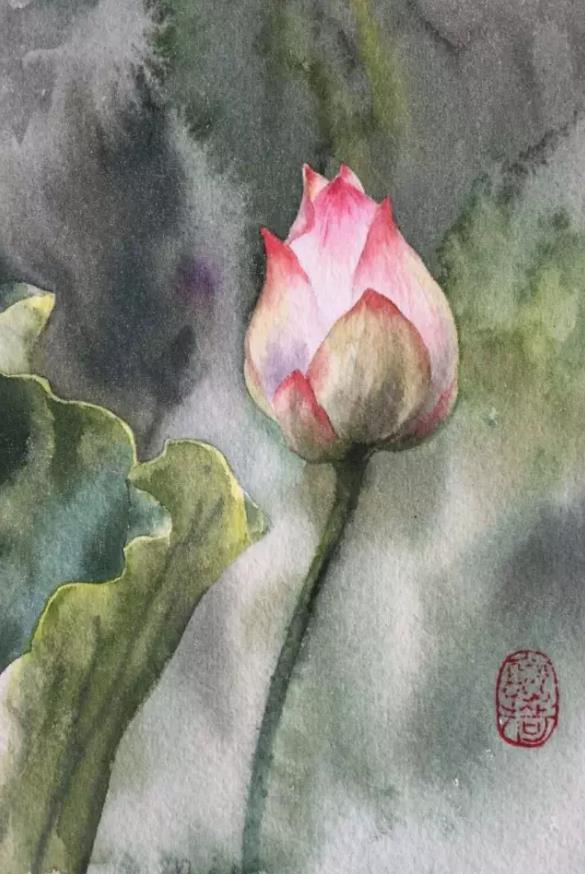 水彩夏天清新森系初学者荷花,水彩荷花画教程入门