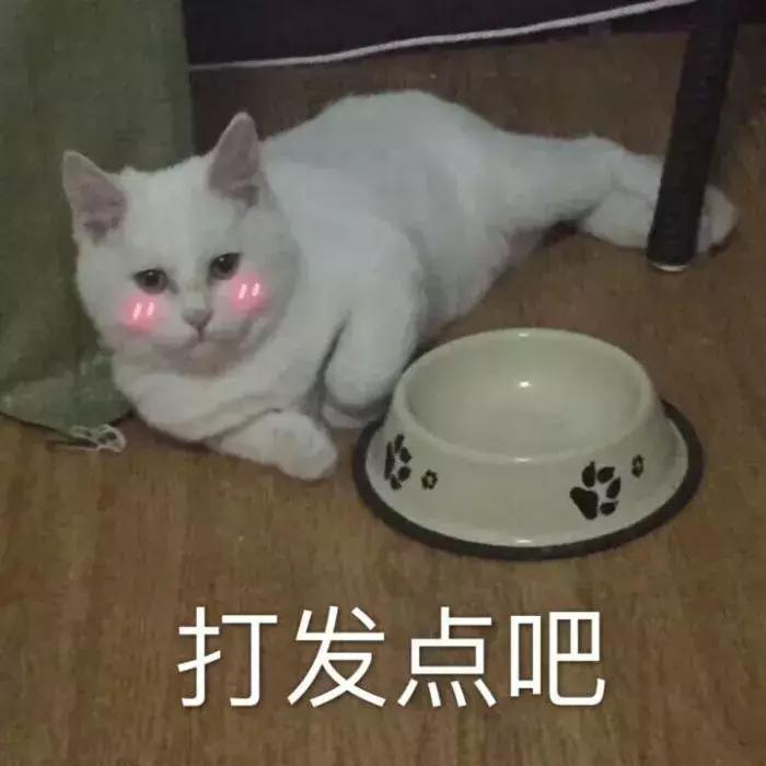 超级显白的口红推荐,这些口红颜色简直是黄皮救星