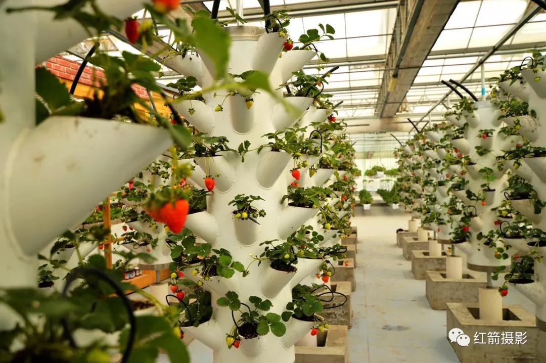 农业嘉年华北京,北京农业嘉年华延期