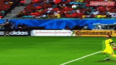 伊布十大经典进球,博格坎普转身进球