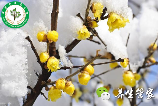 春季如何饮食才健康养生,春季养生要知道