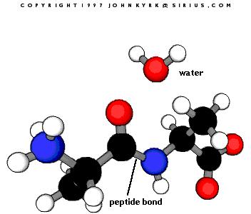 服用汤臣倍健胶原蛋白感受,范冰冰胶原蛋白精华