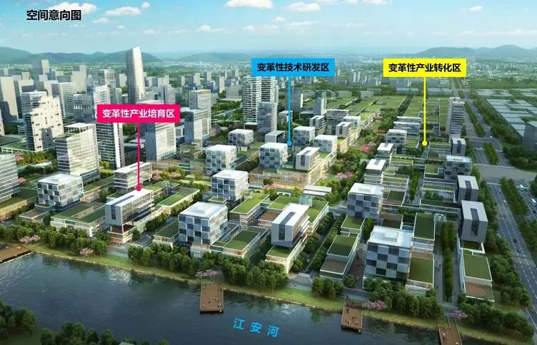 川大江安校区占地面积多少,四川大学江安校区规划图