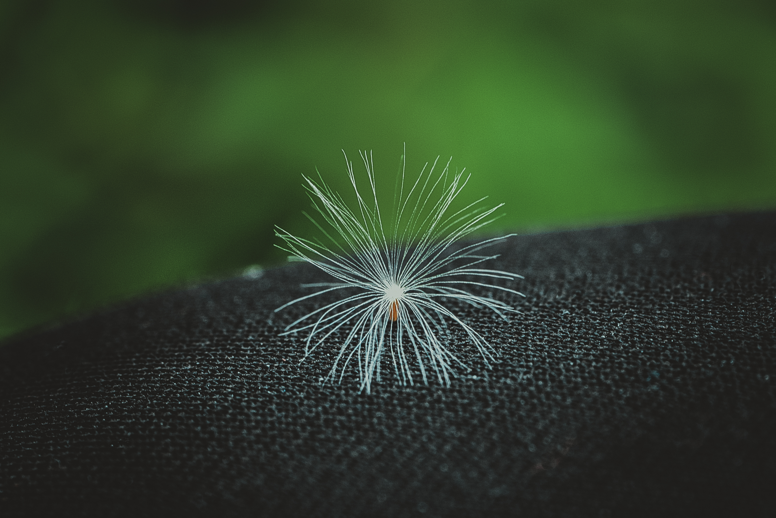 单反定焦和变焦对比,单反相机怎么选性价比高的